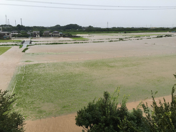 2016内水氾濫2